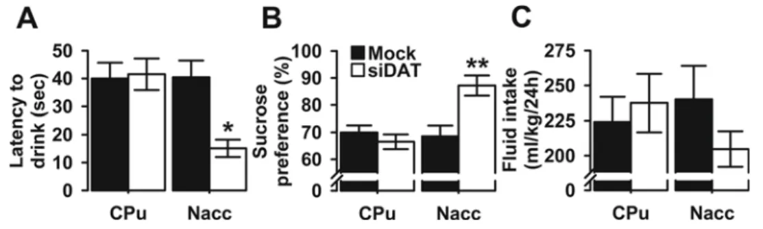 Fig. 4. Depression-like behavior in Mock- and siDAT-injected mice in the NSFT and FST