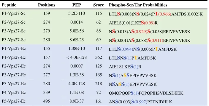 Table S1. TORC1-Controlled Phosphorylation Sites in Vps27 a , Related to Figure 5A 
