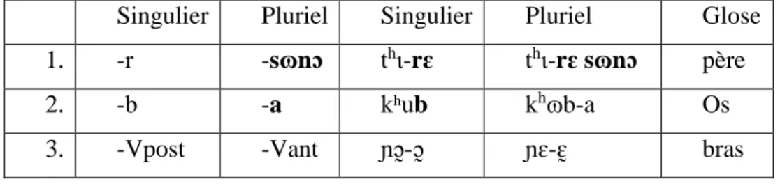 Tableau 4 : Les morphèmes du pluriel des noms d’origine lobiri 