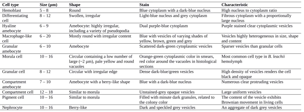 Table 2.  Classification chart of Botrylloides leachii hemocytes based on light microscopy Giemsa stain