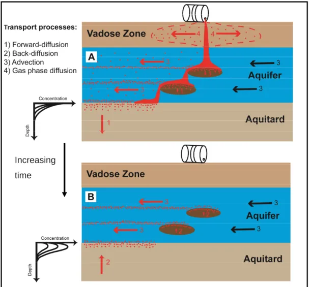 Figure 1-1. Conceptual scenario for the temporal evolution of DNAPL contamination in the  subsurface