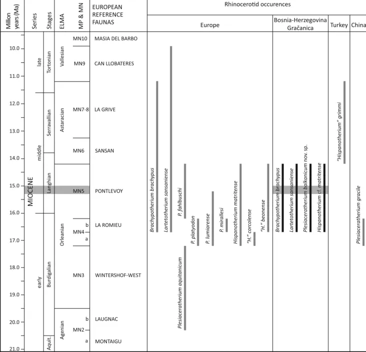 Fig. 5 Biostratigraphy of the Rhinocerotidae of Gra č anica (early middle Miocene, Bugojno Basin, Bosnia-Herzegovina), according to the European reference faunas (capital)