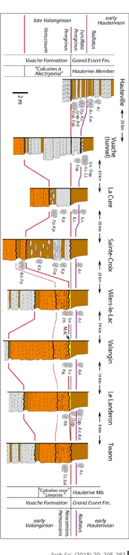 Fig. 10. Détail de la limite entre le sommet de la Formation du  Vuache (« Calcaires à Alectryonia »,  « Limonite »,  « Marnes  à  Astieria ») et la base de la Formation du Grand Essert (Membre  d’Hauterive), avec corrélation des hardgrounds (lignes rouges