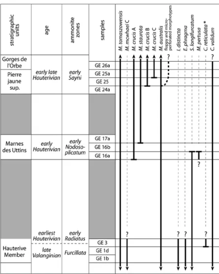 Fig. 11. Distribution stratigraphique de quelques espèces-index de kystes de  dinoflagellés dans les échantillons étudiés dans la coupe du Grand Essert (pour  leur position exacte voir Fig