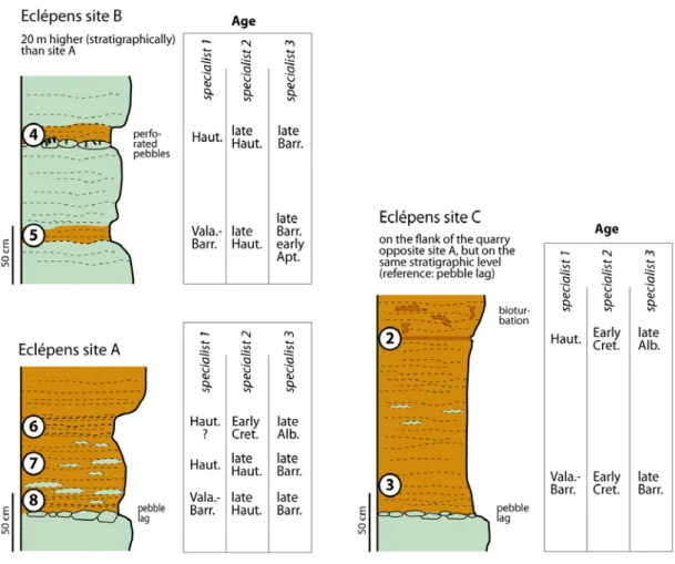 Fig. 12. Datation de la base de la Formation des Gorges de l’Orbe dans la carrière d’Eclépens (Fig