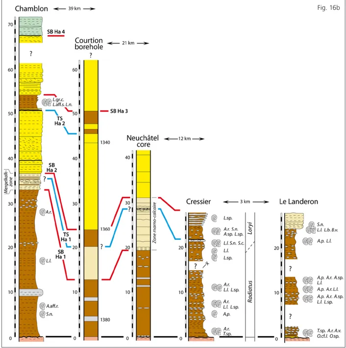 Fig. 16 a-b. Corrélation séquentielle entre la coupe-type du Grand Essert et les coupes du Jura vaudois et neuchâtelois