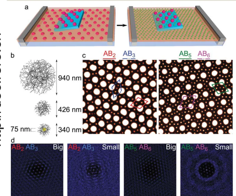 Fig. 1 (a) Scheme of the sequential deposition technique at the water/hexane interface: ﬁ rst (left scheme), the big microgels are deposited from the interface by lifting the silicon substrate and controlling the interfacial pressure Π big using the barrie