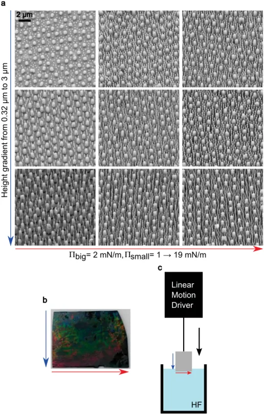 Fig. S11. Characterization of programmable and binary VA-SiNW arrays with continuous gradients in both height and spacing
