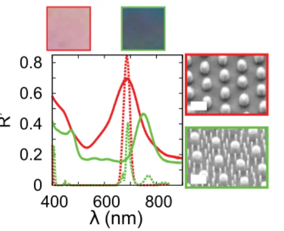 Fig. S13. Experimental (solid lines) and simulation (dashed lines) of the dark-ﬁeld reﬂectance taken at 35°for 810nm long binary (green) and