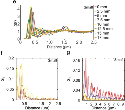 Fig. S6. AFM height images (20x20 μm 2 ) showing adsorption and binary self-assembly of big and small microgels corresponding to the substrate in Fig