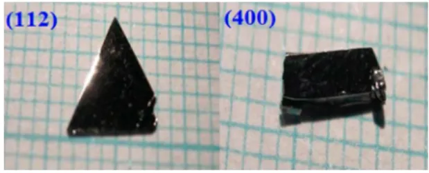 FIG. 5. Cd 3 As 2 single crystals grown by the SSVG method. The larger facets are (112) and (even 00) planes, reaching an area up to 0.7 cm 2 