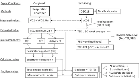 Fig. 1 Overview of comparative features between the two methodol- methodol-ogies for assessing total energy expenditure (TEE): it clearly shows that the amount of information obtained in a whole-body indirect calorimetric chamber over 24 h far outweigh the