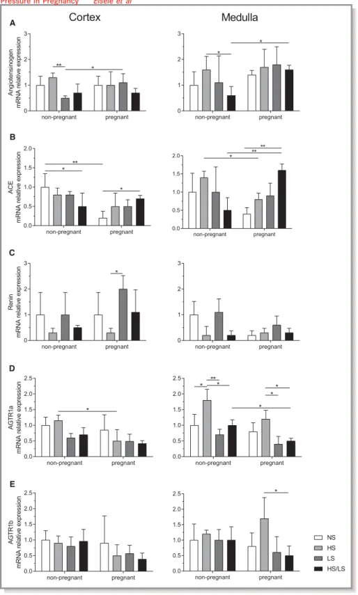 Figure 4. Expression of components of the renin-angiotensin system (RAS) as assessed by TaqMan polymerase chain reaction