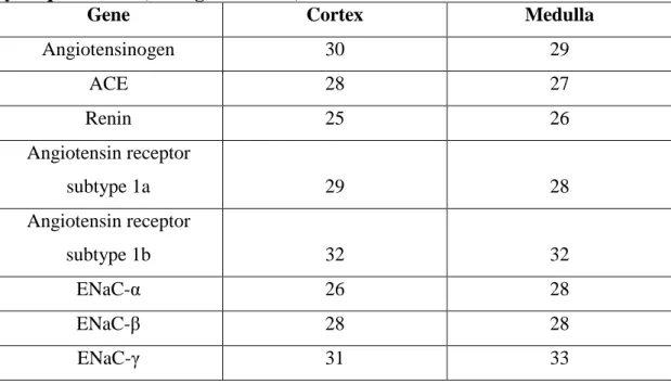 Table S2. Mean absolute expression levels of components of the RAS as assessed  by TaqMan PCR (average Ct values)