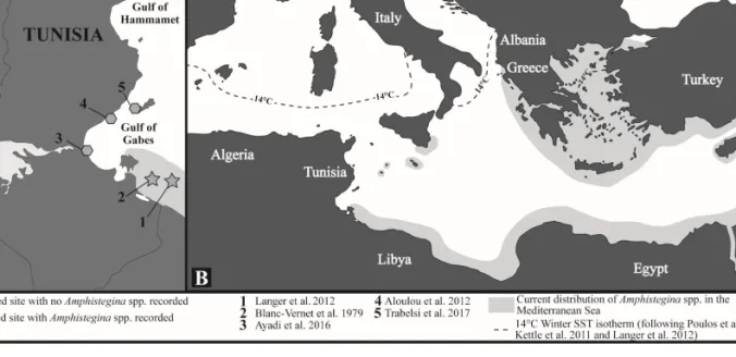 Figure 1.  Current Amphistegina  distribution  A)  along  the  Tunisian  coast  and  B)  in  the  Mediterranean  Sea  (including  previous  studies)