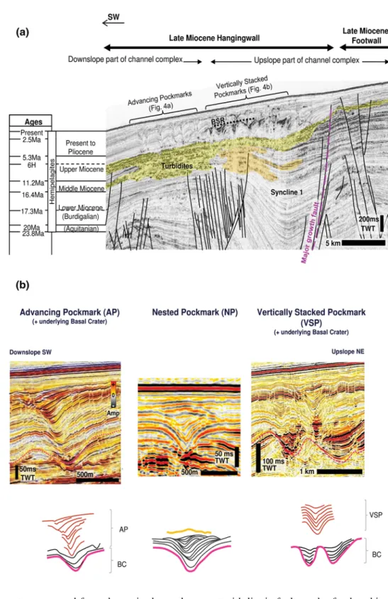 Fig. 2   Seismic proﬁles showing  the main geological features of  the study area and their  strati-graphic location