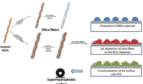 Table 1.  Details of the recipe and thickness of the ﬁbrils coated with a  silica layer, obtained using TMOS as a silica precursor, and performing  the hydrolysis–condensation under acidic conditions.