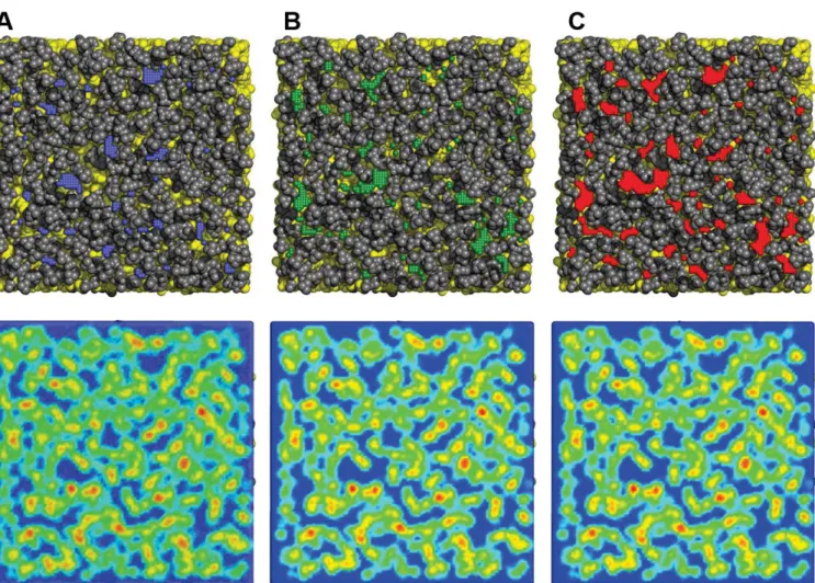 FIGURE S2: Example of packing defect mapping for a POPC bilayer. The top panels show the position  of deep (A; blue), shallow (B; green) and  ‘all’ (C; red) packing defects