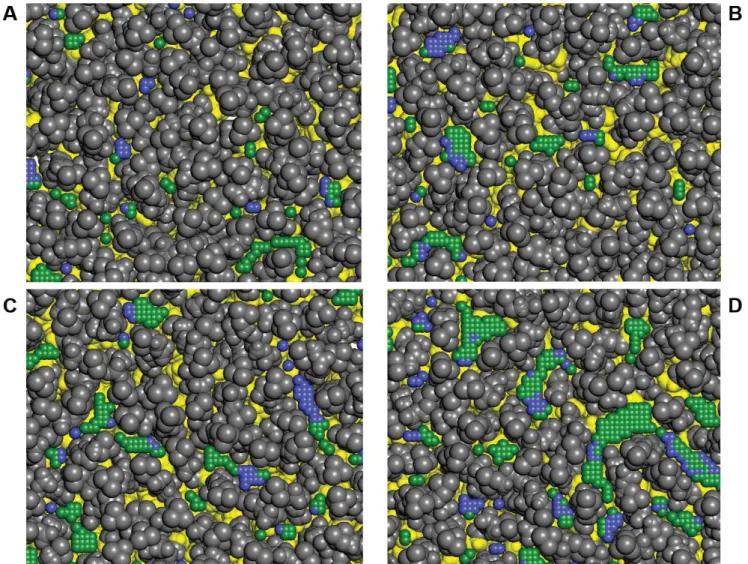 FIGURE S4: Examples of packing defects in DMPC (A), POPC (B), DOPC (C) and DOPC/DOG (D)  bilayer simulations
