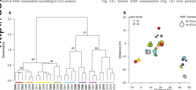 FIGURE 1.  Structure, diversity, and spatial distribution of arbuscular mycorrhizal fungi (AMF) communities in roots of 29 diploid (2 x ) and tetraploid  (4 x ) plants of  Centaurea stoebe  s.l