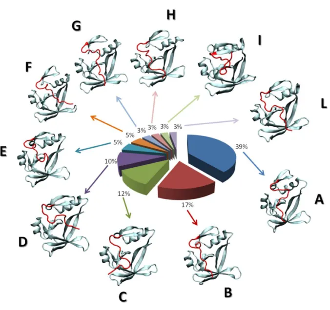 Figure 14. Structure based clustering analysis on REMD trajectory at 310 K. Cluster centroids are also shown and labeled