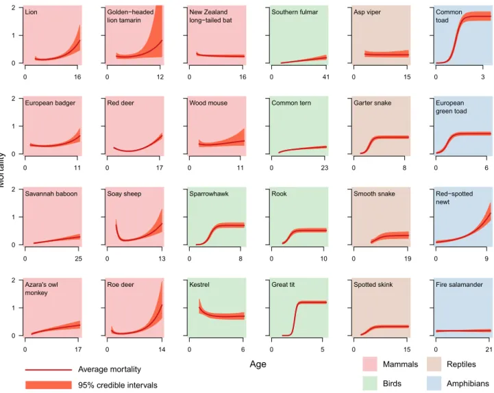 Figure 2 Best-fitting models of age-specific mortality during adulthood for 24 species of terrestrial vertebrates compared to models including only age- age-independent adult mortality