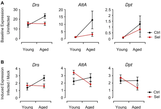 Figure 4. Age-dependent differential expression of immunity genes. (A) Baseline mRNA expression levels of three antimicrobial peptides (AMPs), Drosomycin (Drs), Attacin A (AttA), and Diptericin (Dpt) in uninfected (nonpricked) young (5–6-day-old) and aged 