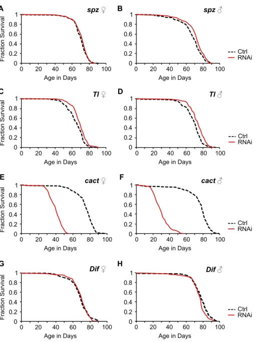 Figure 6. Decreased Toll signaling promotes longevity while hyperactivation shortens lifespan