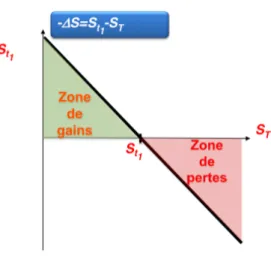 Figure 8 : pay-off d'un short 