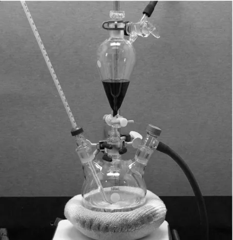 Figure 2.1 The reactor setup which allows injection of air-sensitive reagent solution.