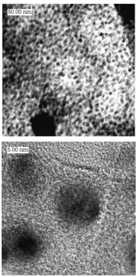 Figure 3.8 TEM microstructures of nanocomposite obtained by thermolysis of frontally polymerized CoAAm at temperature 873 K.