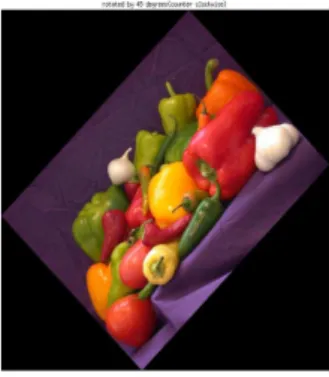Figure 1: Image Rotation by 45 degrees around center of the image