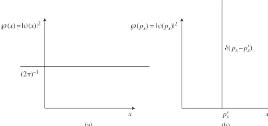 Figure 2.5 Probability distributions of (a) position and (b) momentum for a momentum eigenfunction.