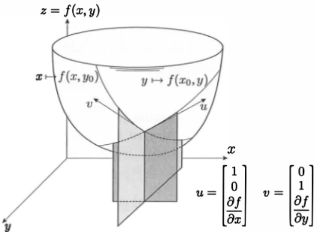 Fig. 1 . 2   Dérivées directionnelles d'une fonction de  IR.2  dans IR 