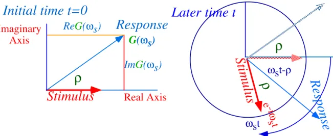 Fig. 4.2.5 Oscillator response and stimulus phasors rotate rigidly at angular rate ω s 