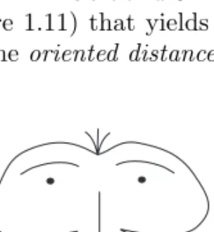 Figure 1.11. Example of a two-dimensional strongly cracked set.