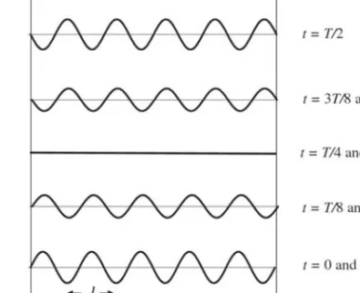 Figure 2.3 Standing waves occur when a wave is confined to a region in space. The wave moves up and down in time but not in space.