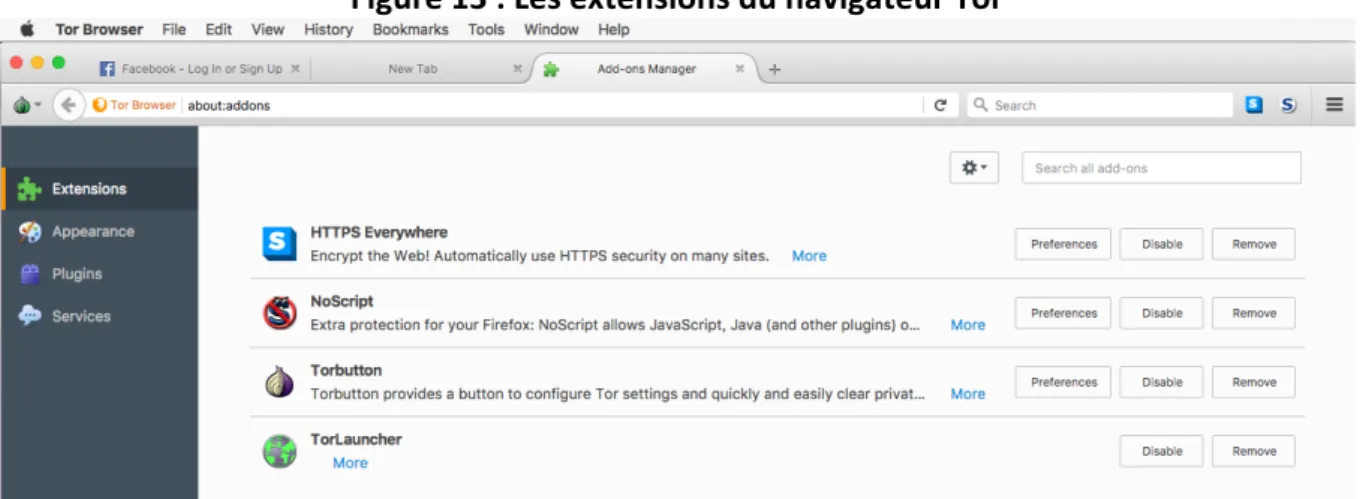 Figure 13 : Les extensions du navigateur Tor 