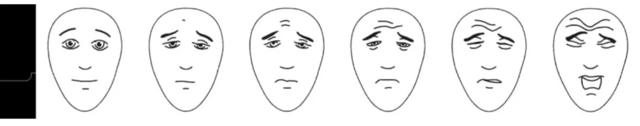 Figure 6. Echelle des visages 
