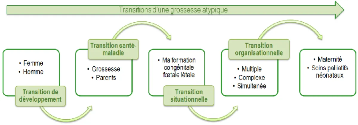 Figure 4. Transition d’une grossesse atypique 