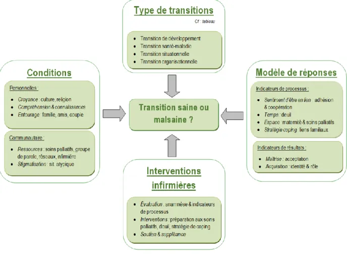 Figure 5. Modèle adapté de la théorie en lien avec la transition des parents 