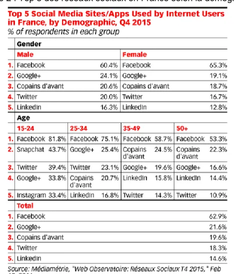 Figure 2 : Top 5 des réseaux sociaux en France selon la démographie 