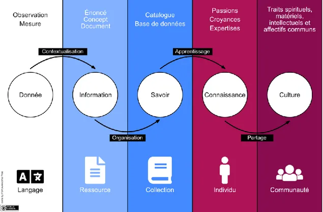 Figure 2 : De l'information à la culture : donnée-information-savoir- donnée-information-savoir-connaissance-culture (DISCC) 