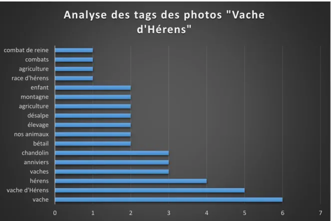 Figure 5 : Analyse des tags avec la recherche : vache d’Hérens 