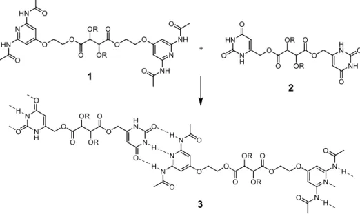 Figure 11: Hydrogen bonds between Hamilton’s receptors and barbital