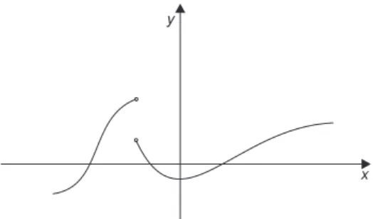 Fig. 4.1 Discontinuity of the first kind.