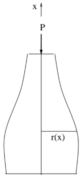 Figure 1.8: Optimal design of a column the upper end, then we set