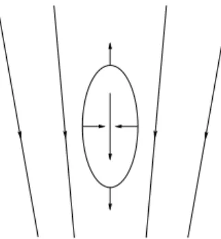 Figure 1.6: Deformation due to tidal forces In general, tidal forces cause changes of shape.