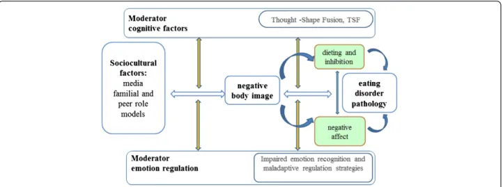Figure 1 Maintenance of eating disorder.
