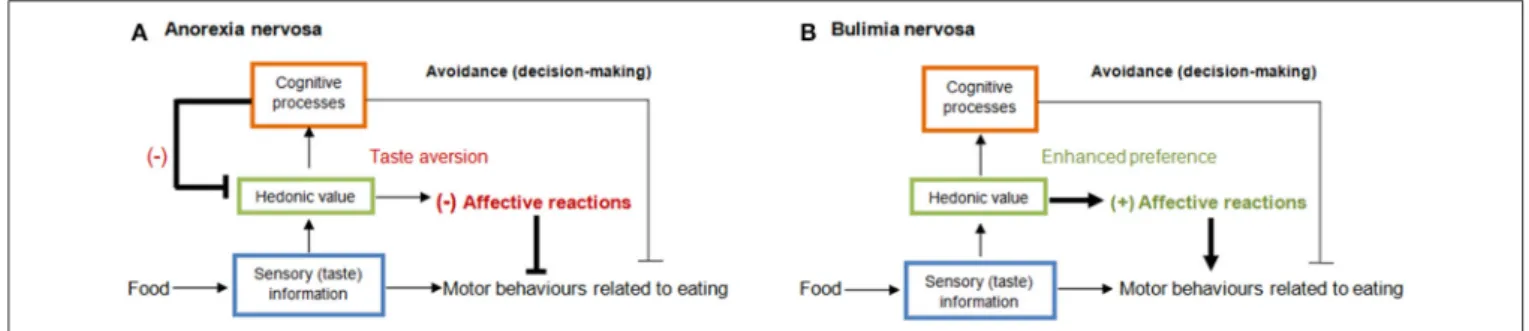 FIGURE 1 | Serial hierarchical processing of taste (Wolz et al., 2015) at the sensory (blue), reward/hedonic (green), and cognitive level (red) via bottom-up influences.